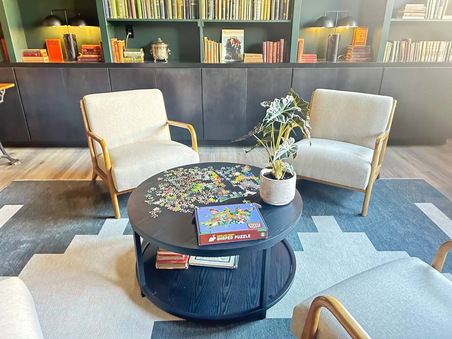 Property Image 13