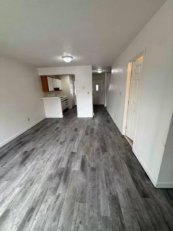 cover background