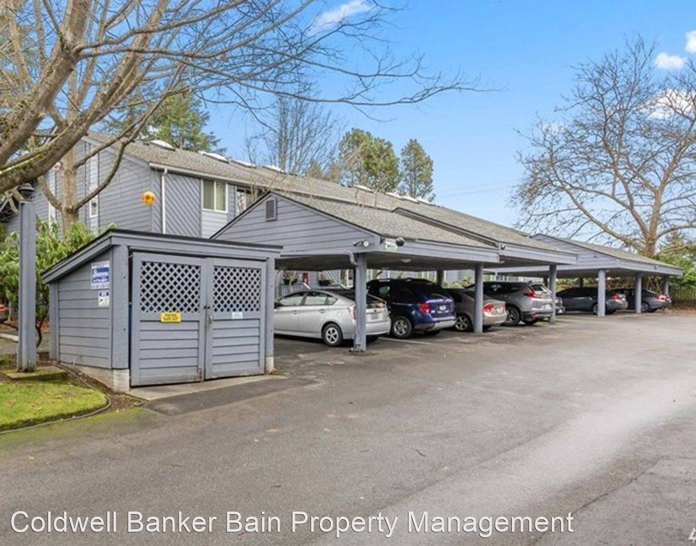 cover background