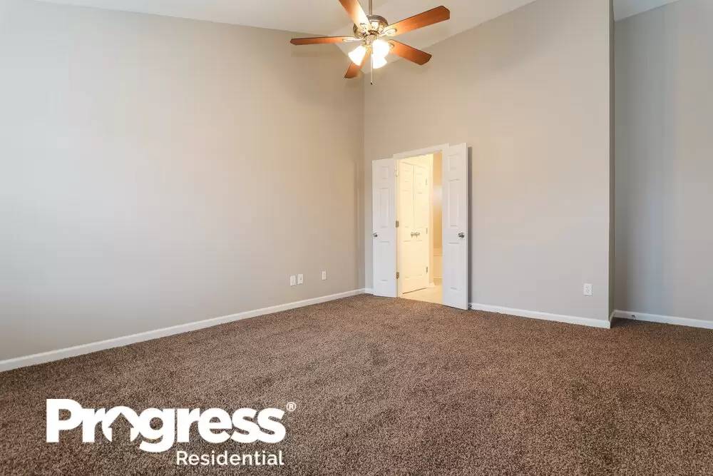 cover background