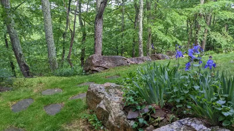 Property Image 11