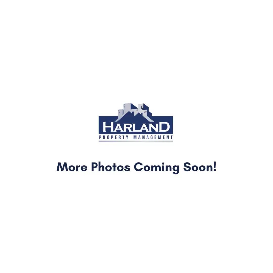 cover background