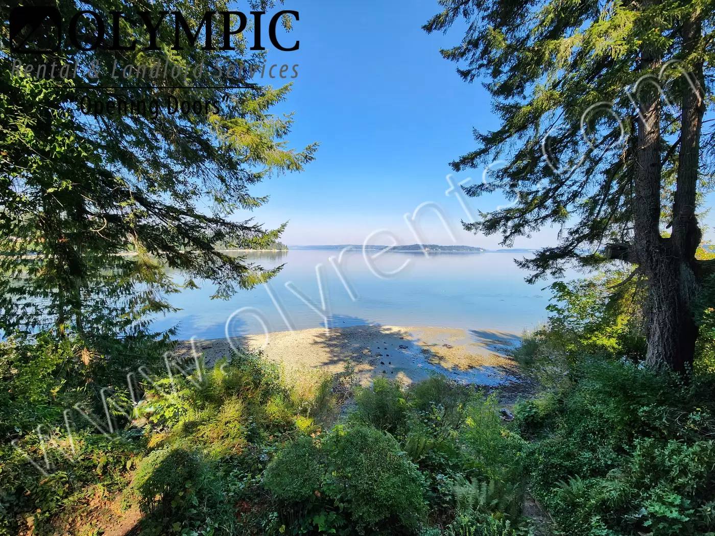 cover background