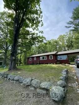 cover background