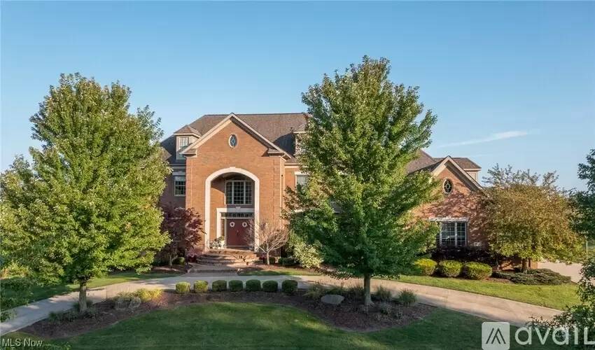 cover background