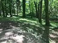 Property Image 31