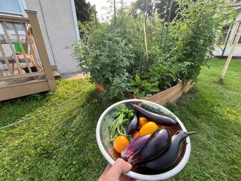 Property Image 14