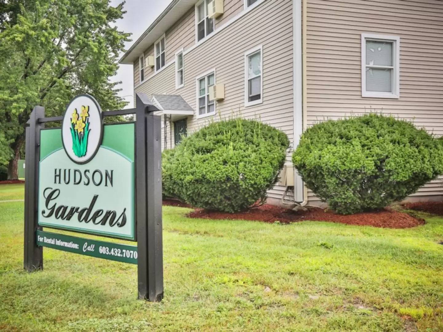 Property Image 19