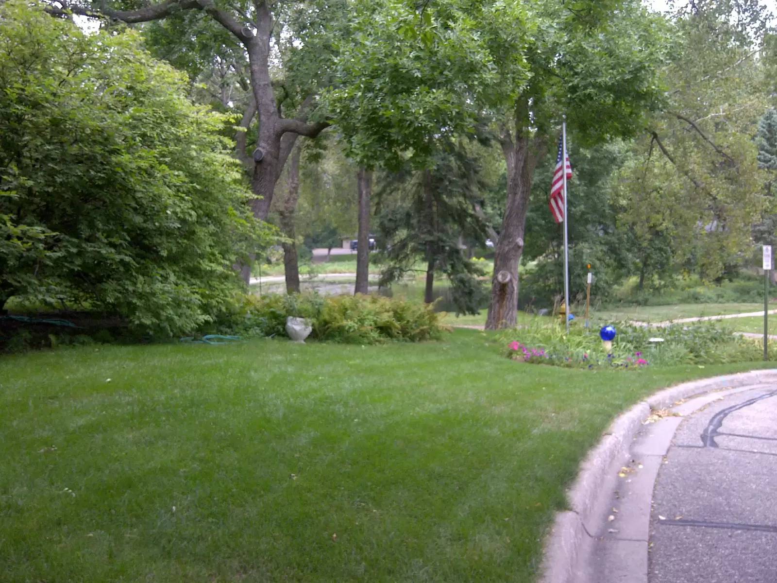 cover background