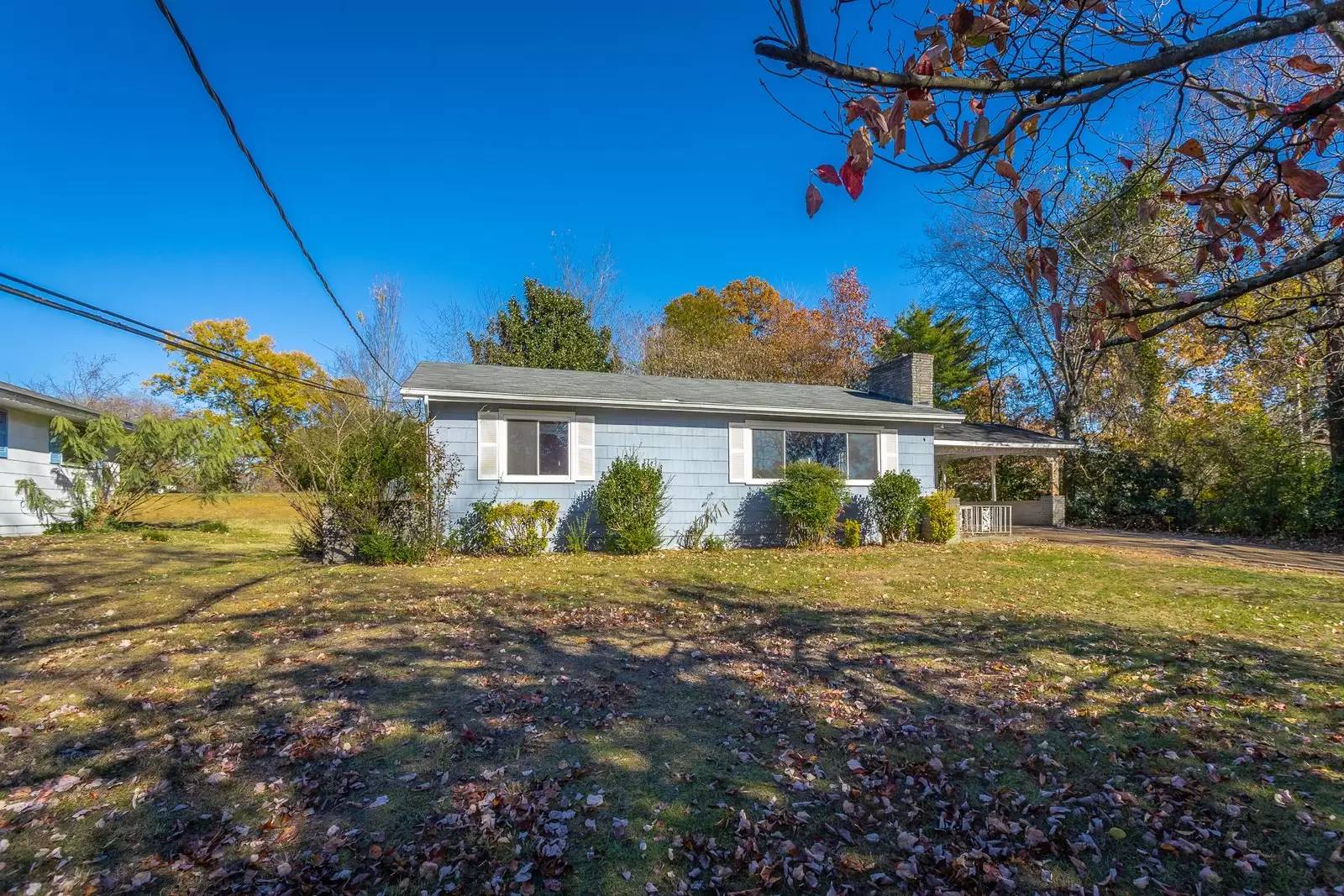 Property Image 43