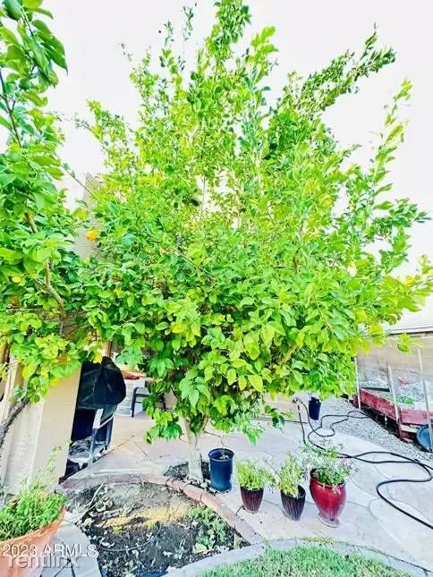 Property Image 68