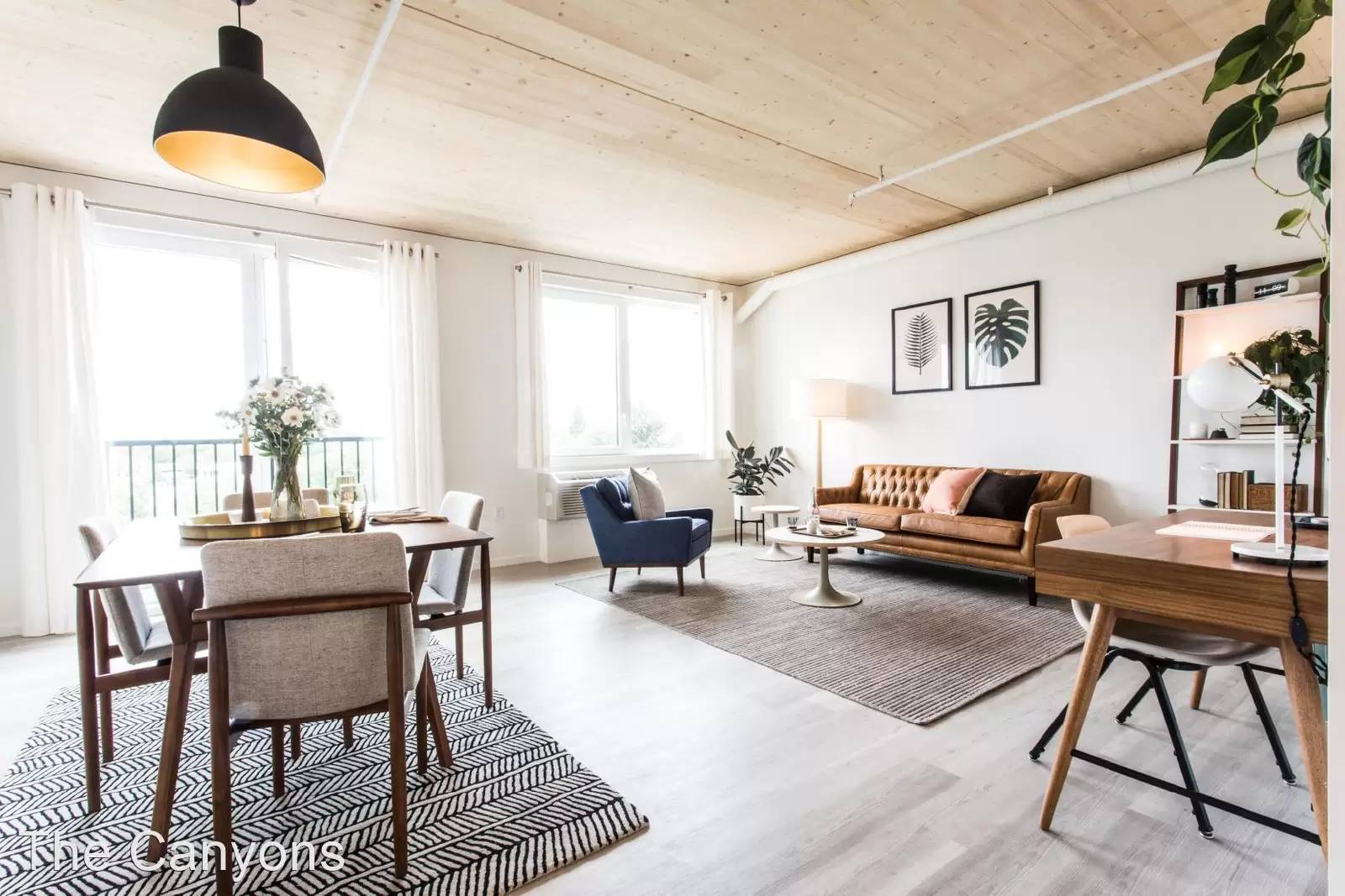 cover background