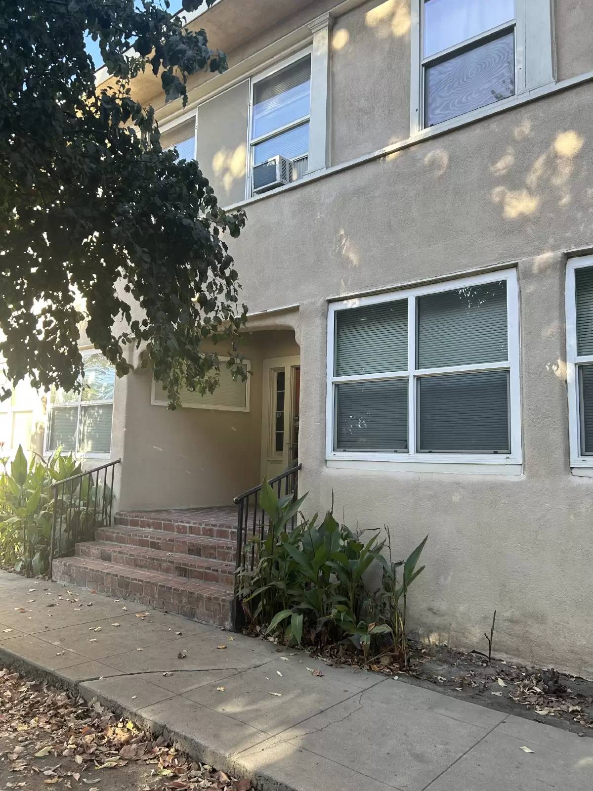 cover background