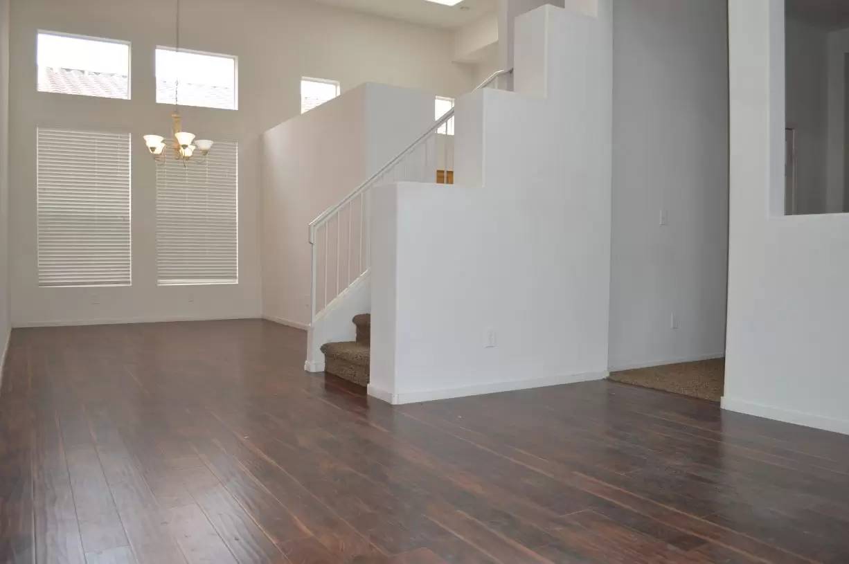cover background