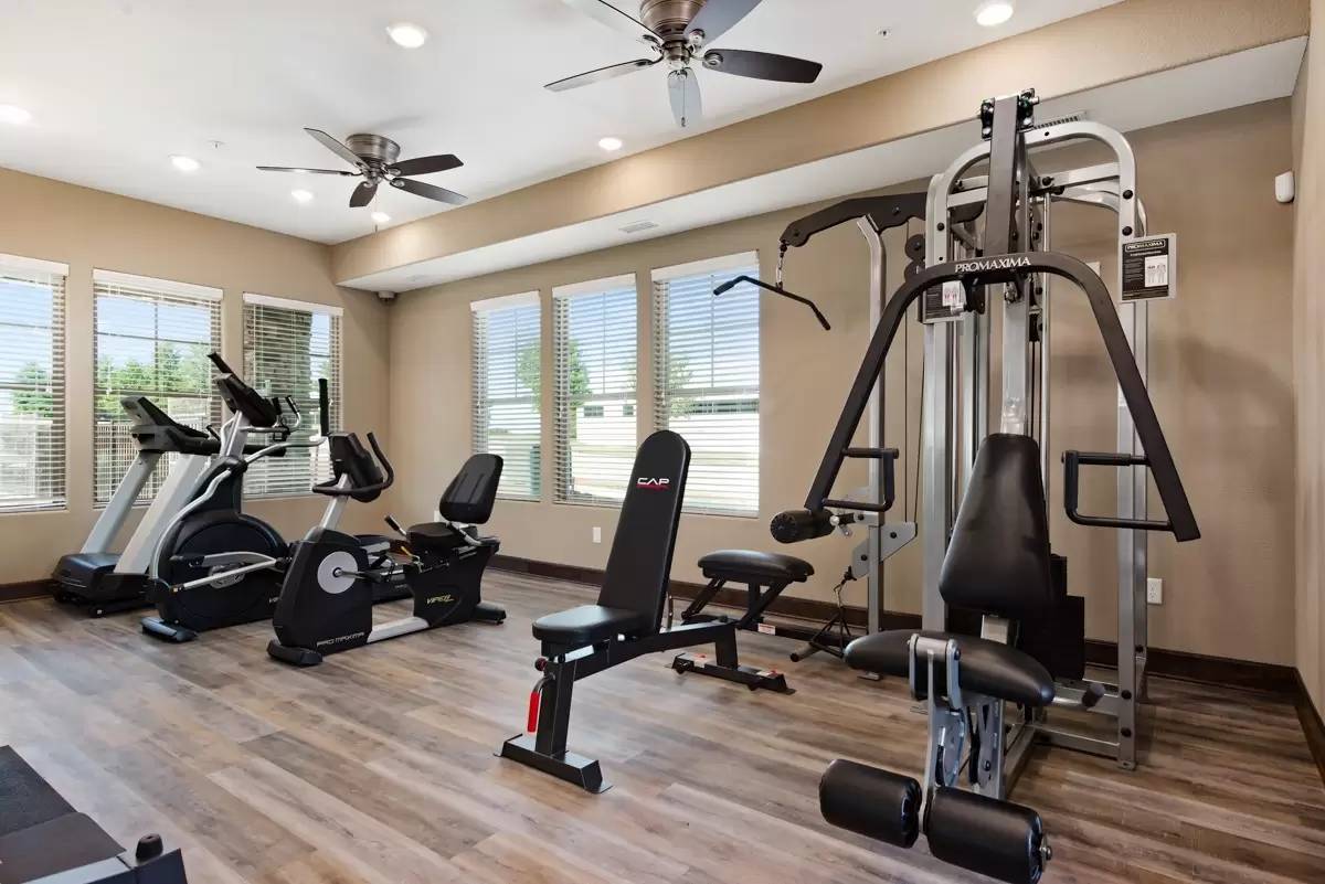 Property Image 14