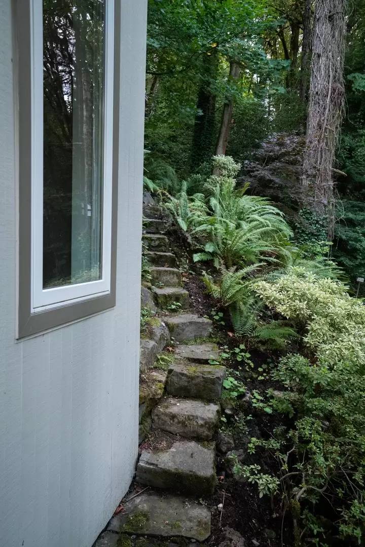 Property Image 64