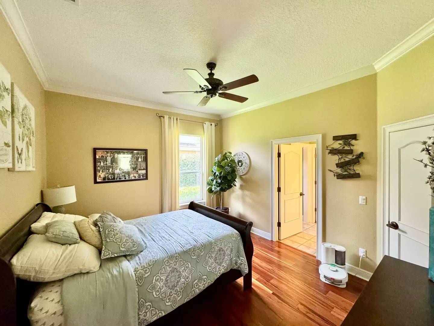 Property Image 62