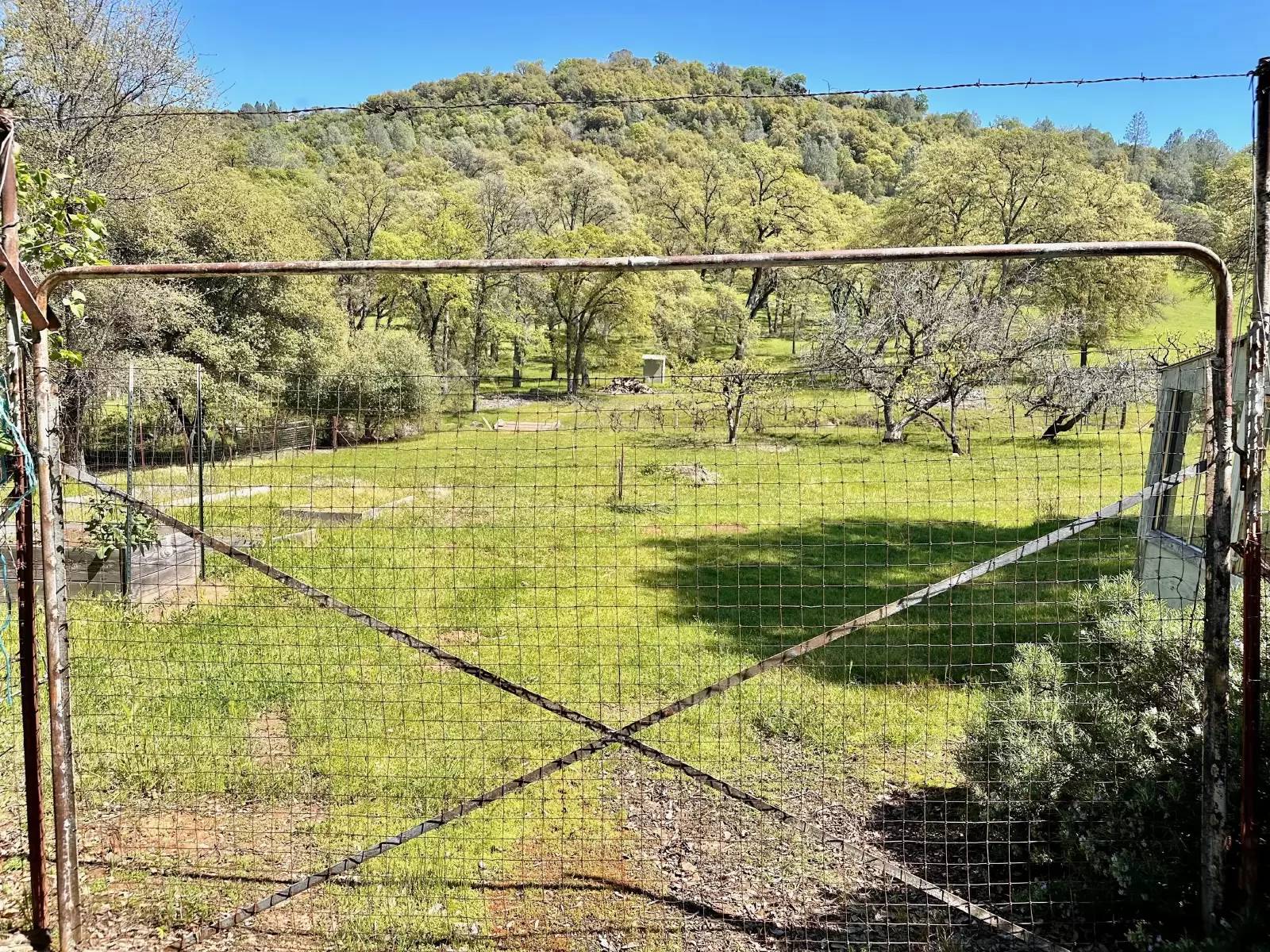 Property Image 43