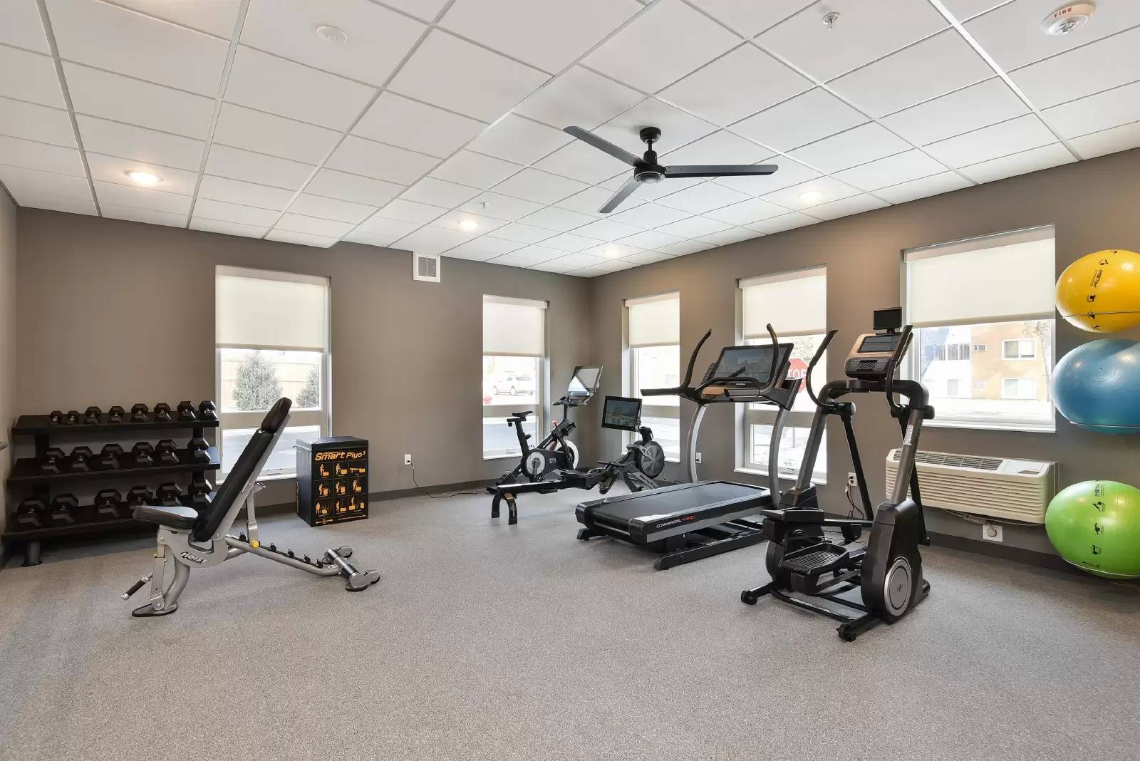 Property Image 13