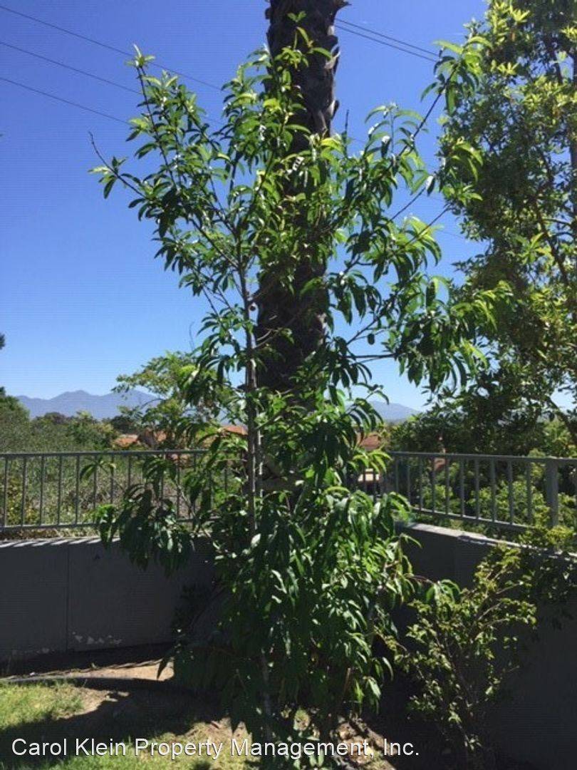 Property Image 66