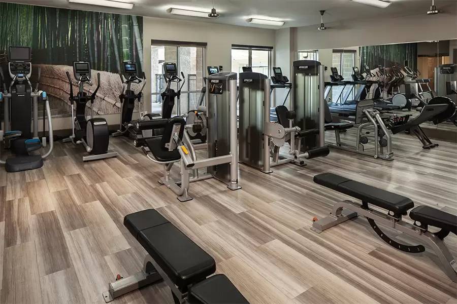 Property Image 8