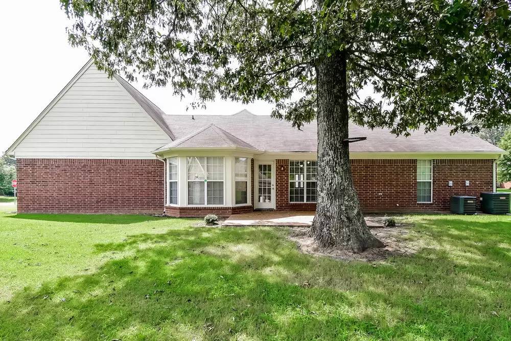 Property Image 16