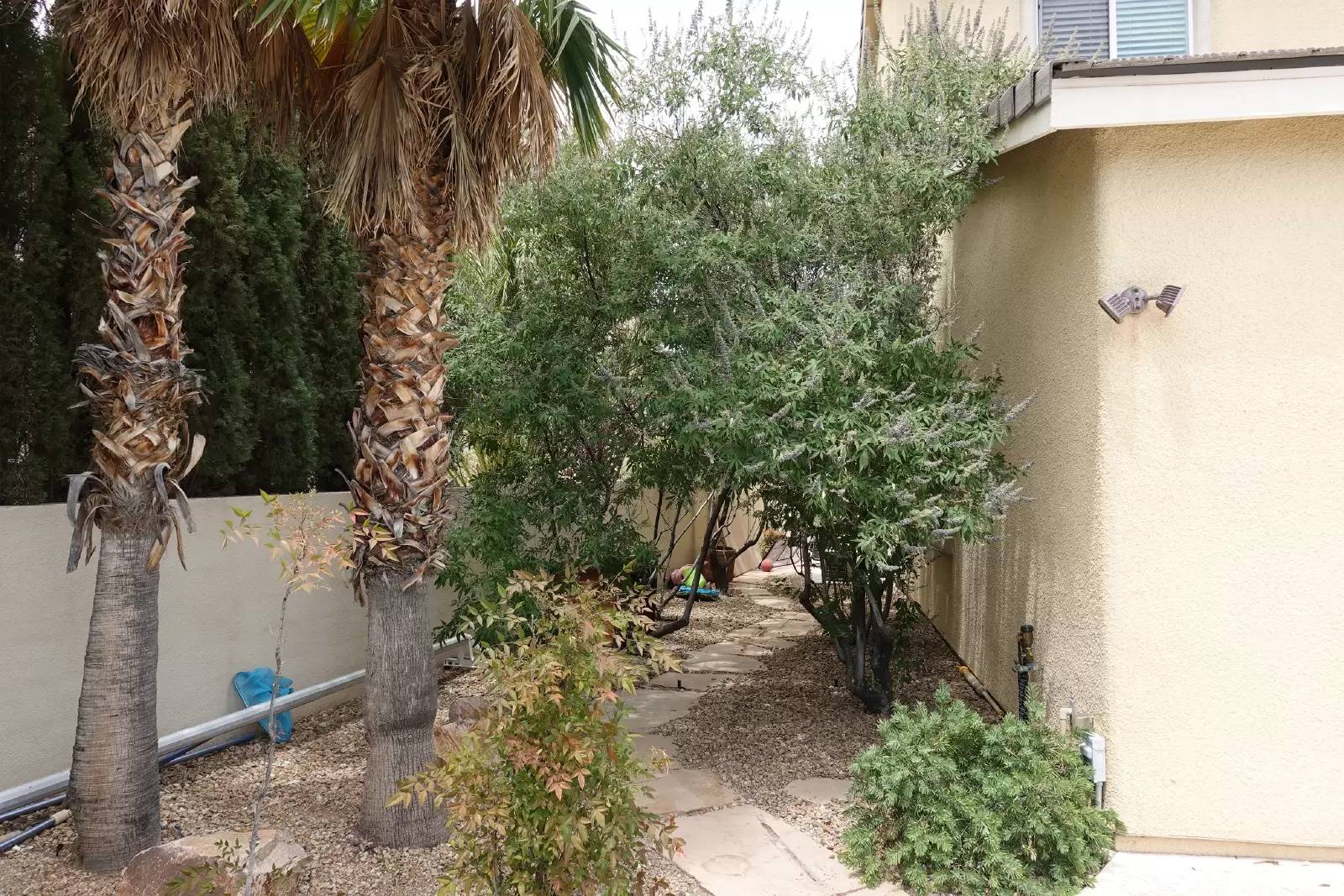 Property Image 49