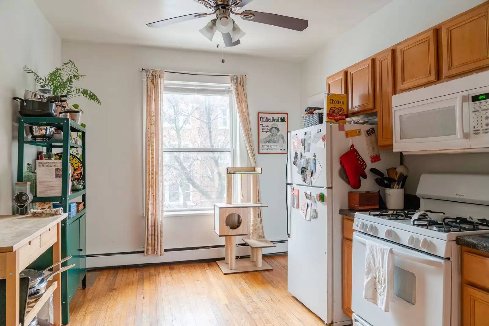 Property Image 6