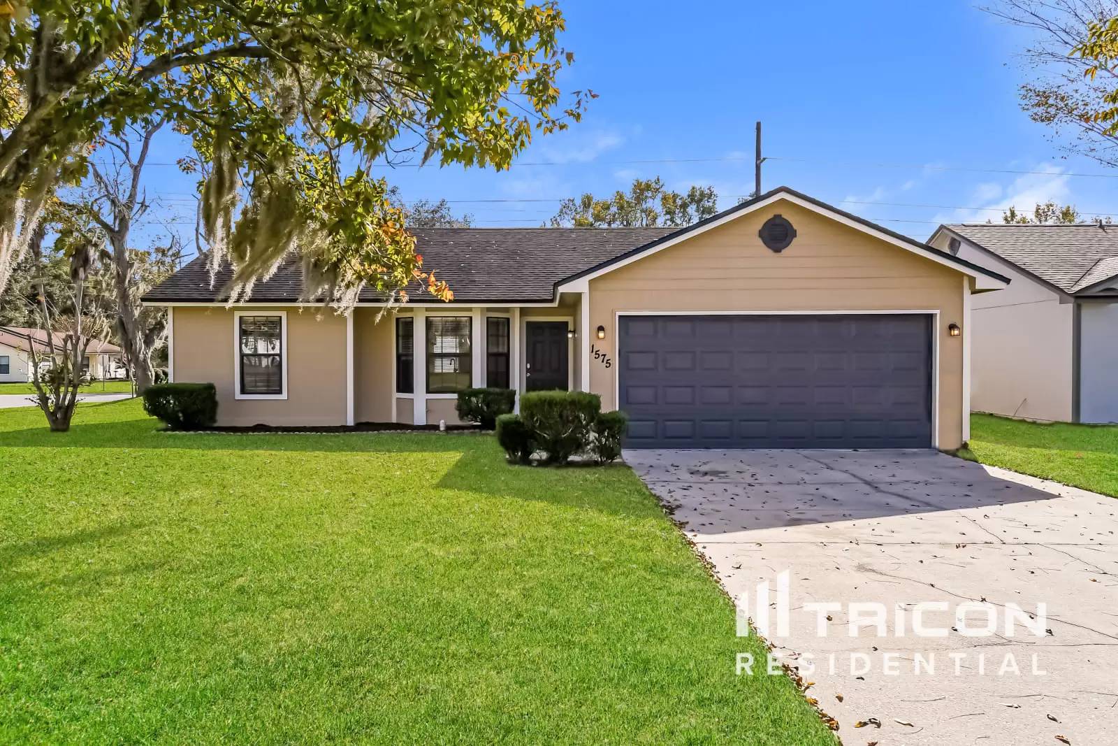 cover background