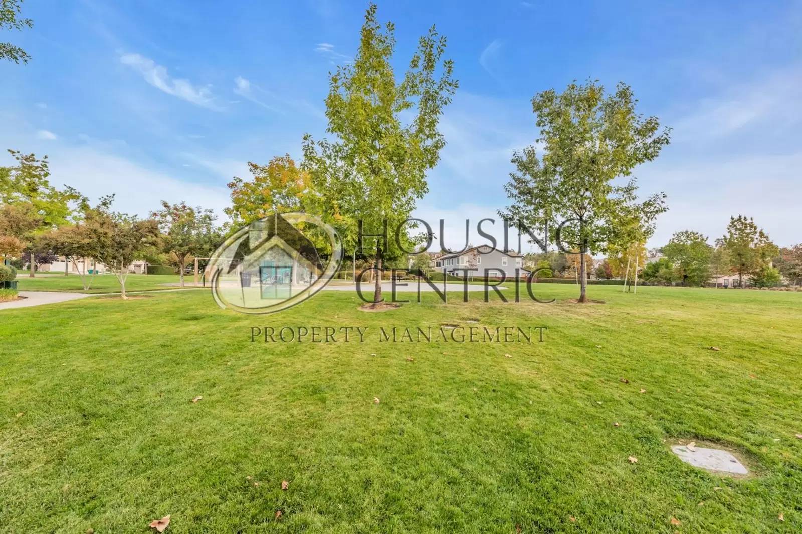 Property Image 71