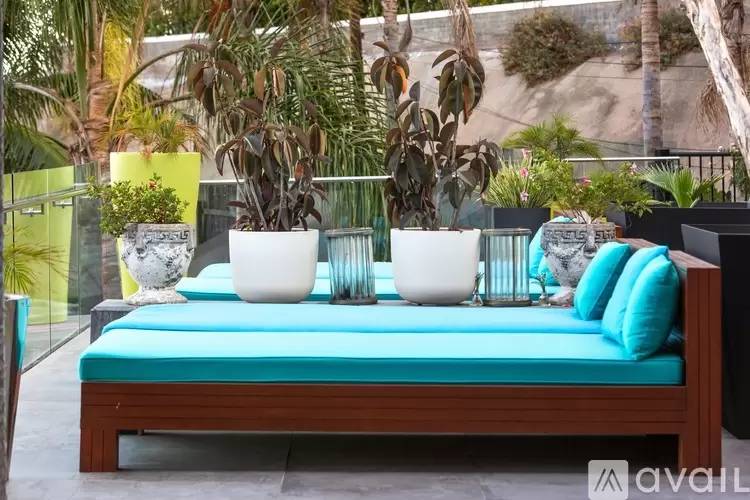 Property Image 63