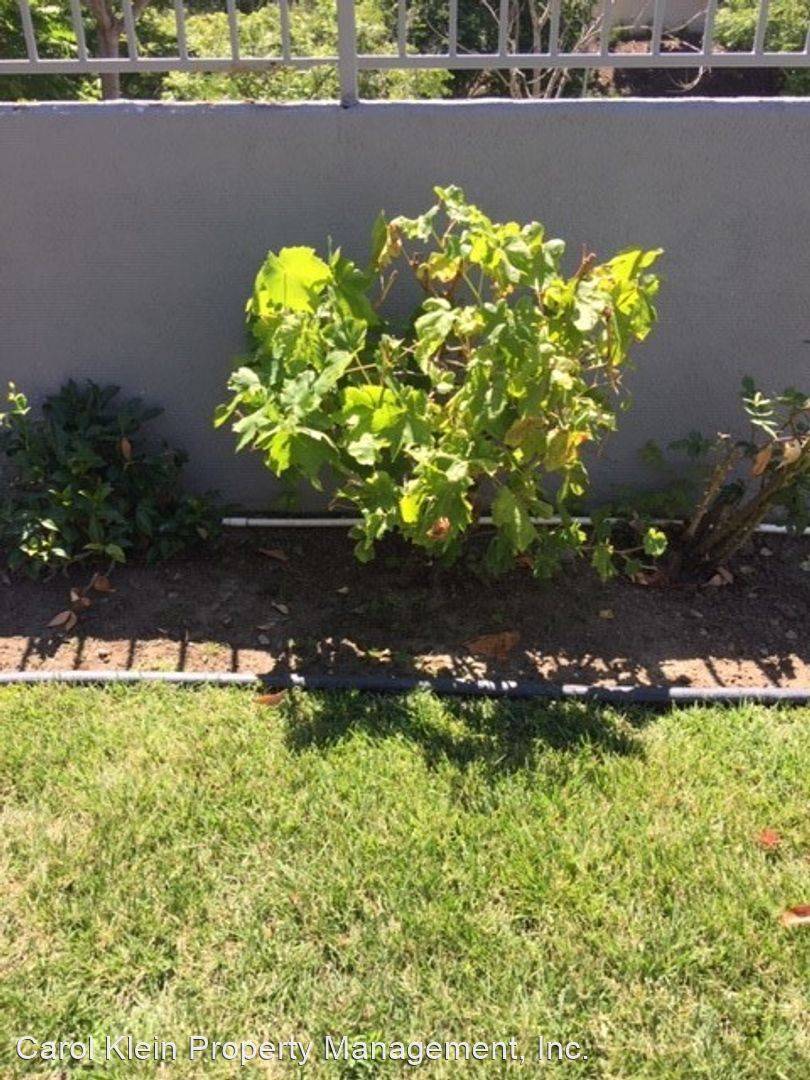 Property Image 67