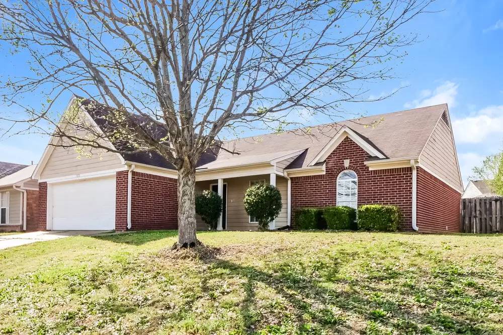 Property Image 18