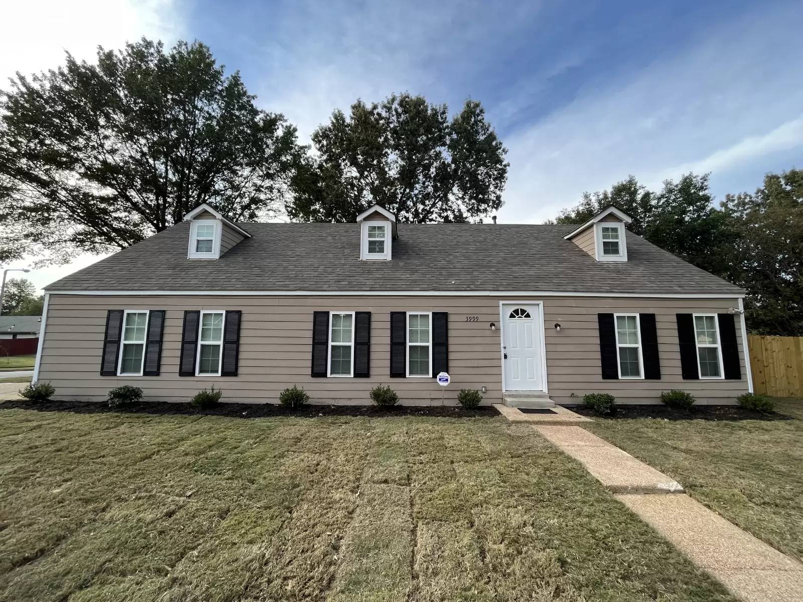 cover background