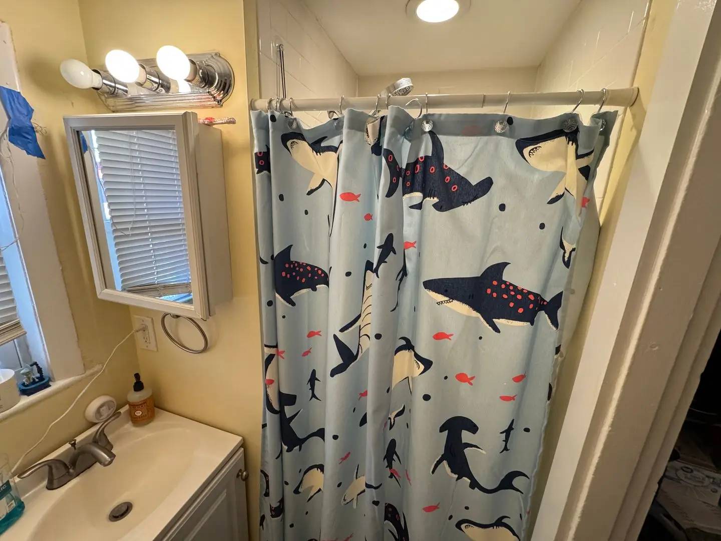 Property Image 41