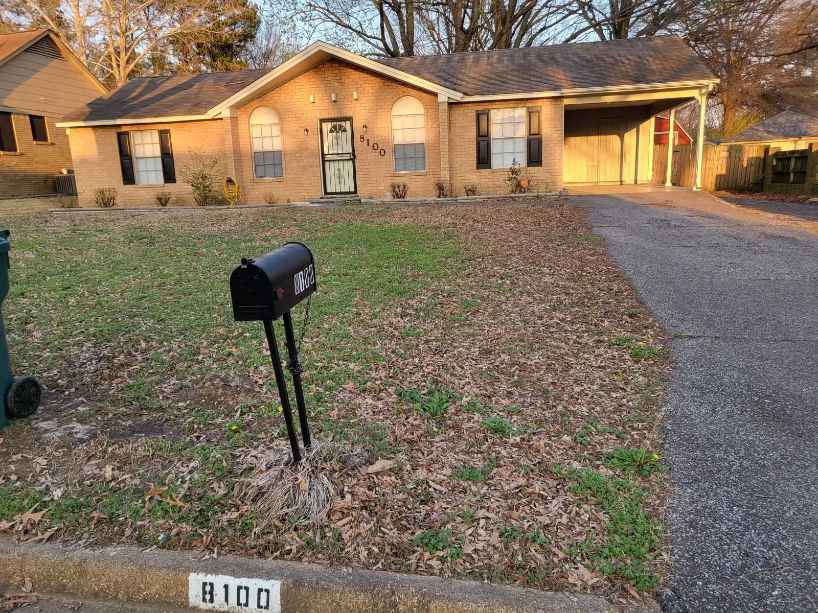 cover background