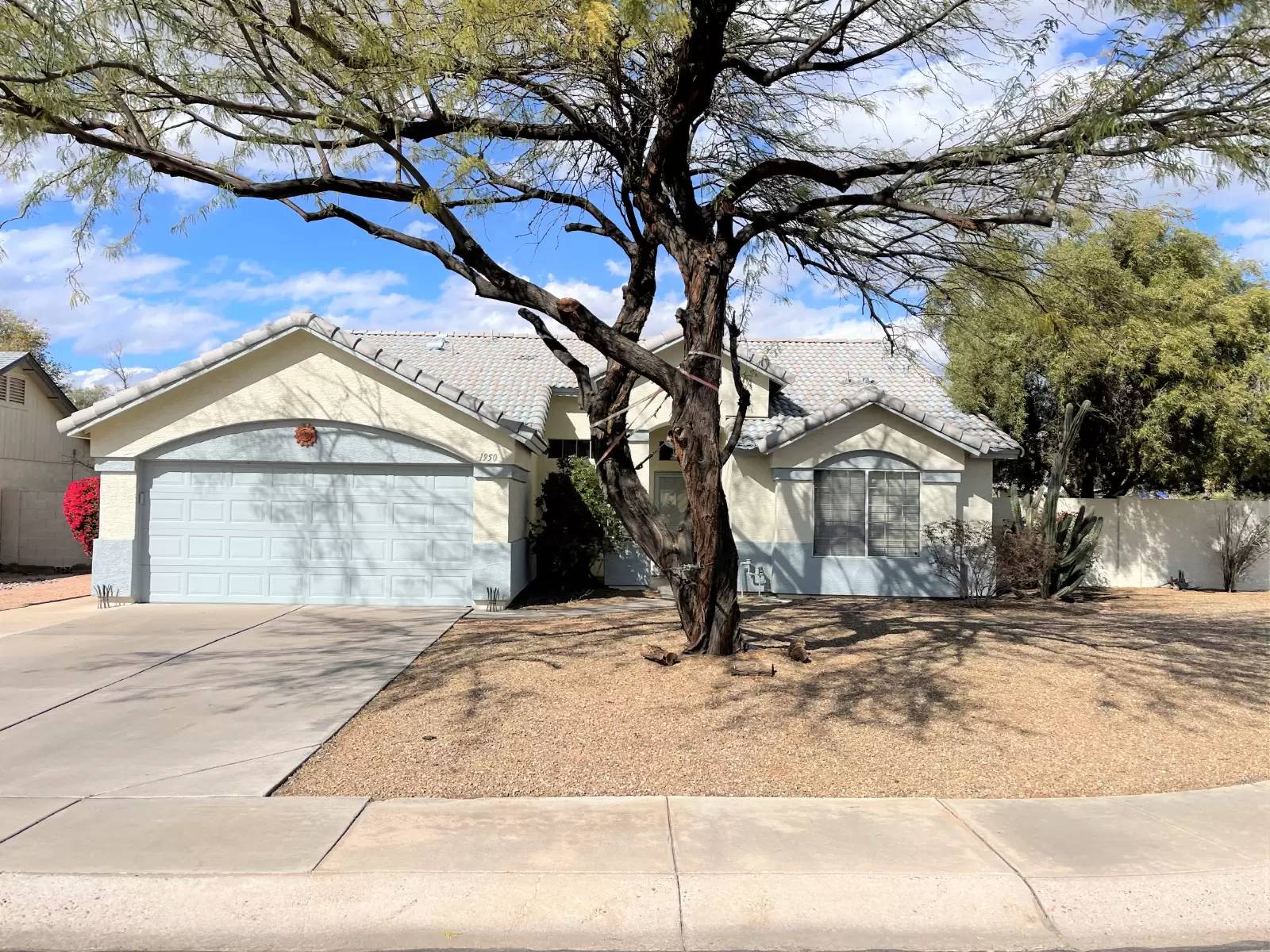 cover background