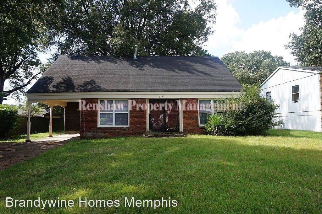 cover background
