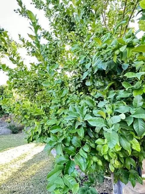 Property Image 81
