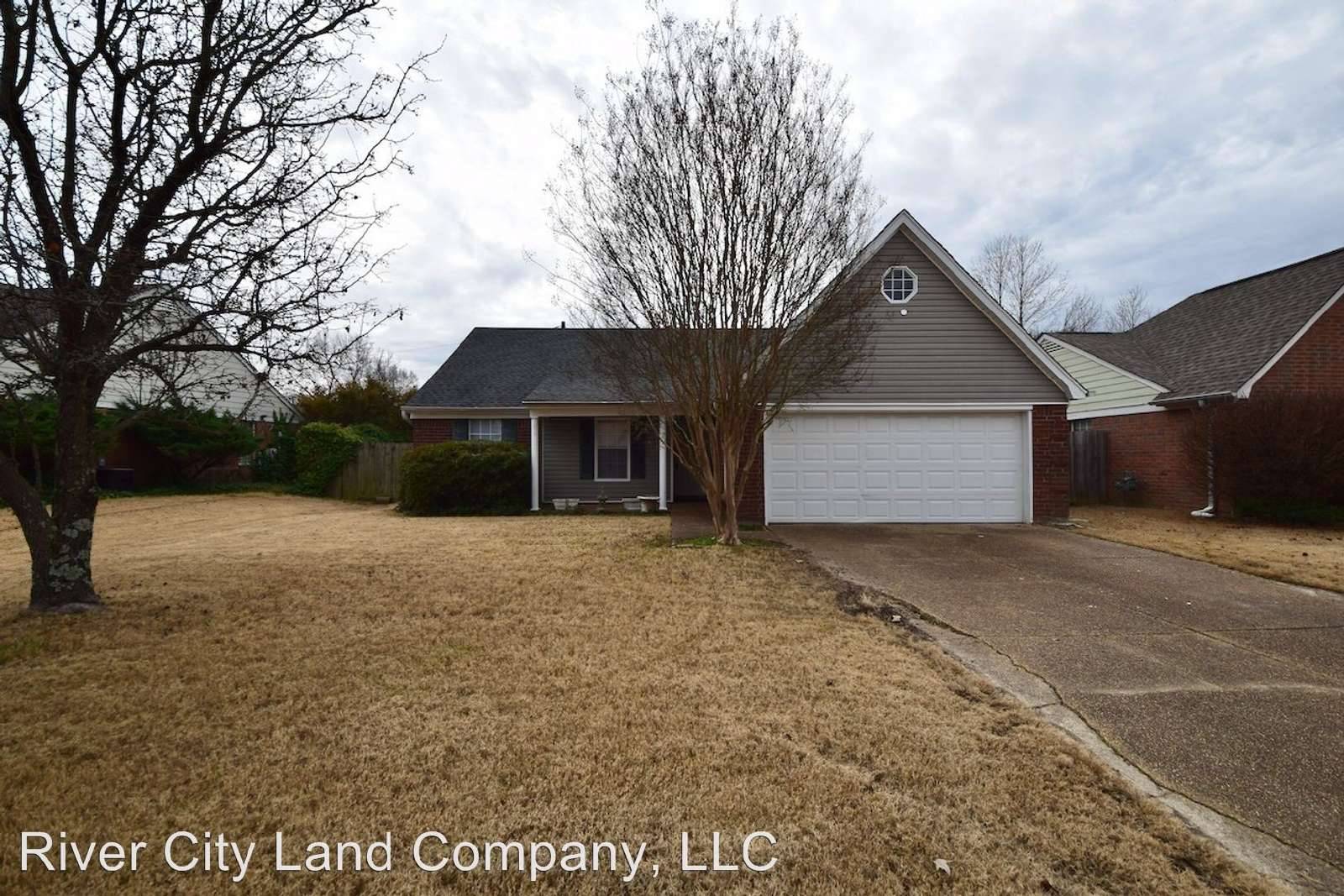 cover background