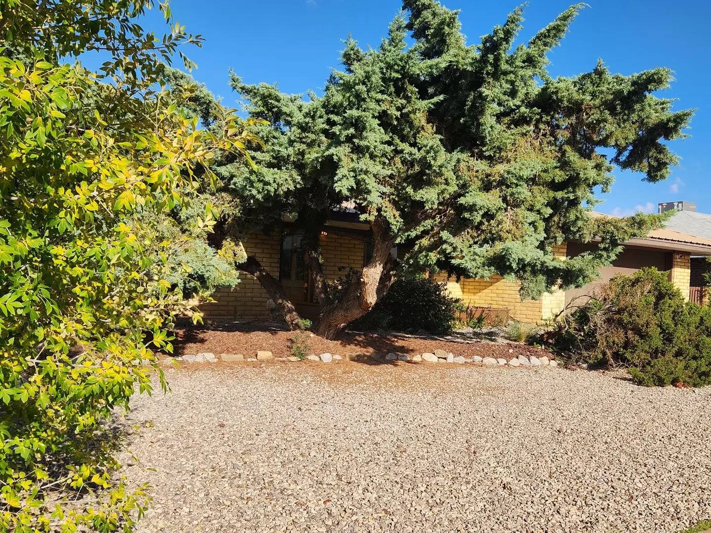 cover background