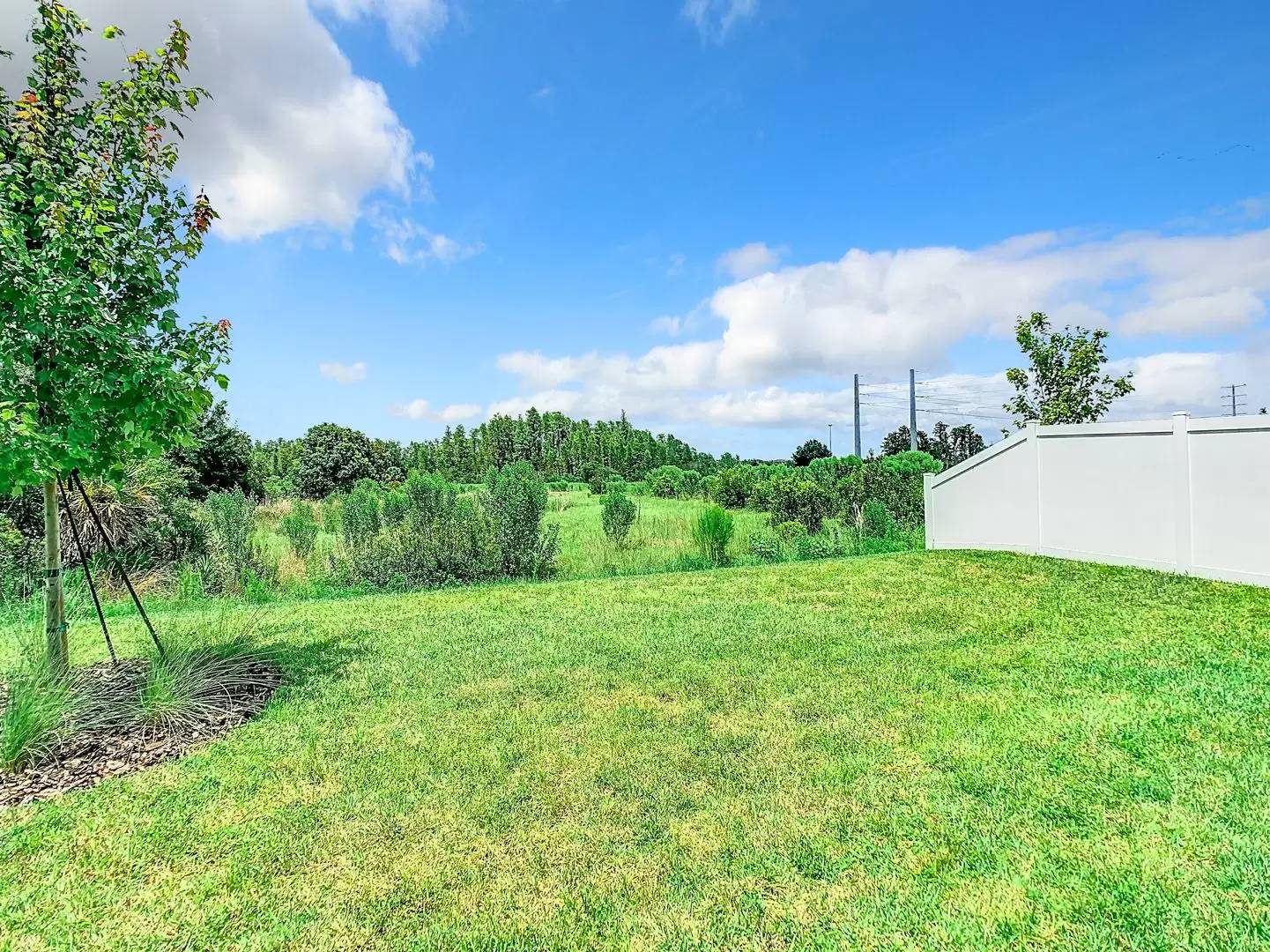 Property Image 66
