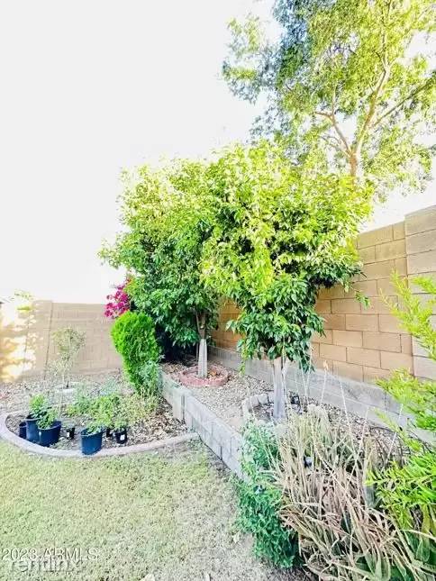 Property Image 63