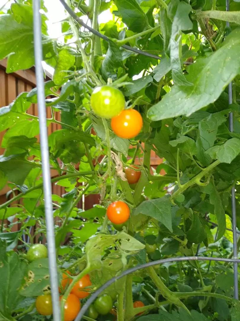 Property Image 114