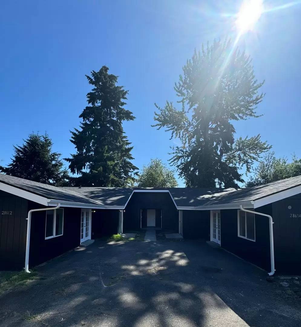 cover background