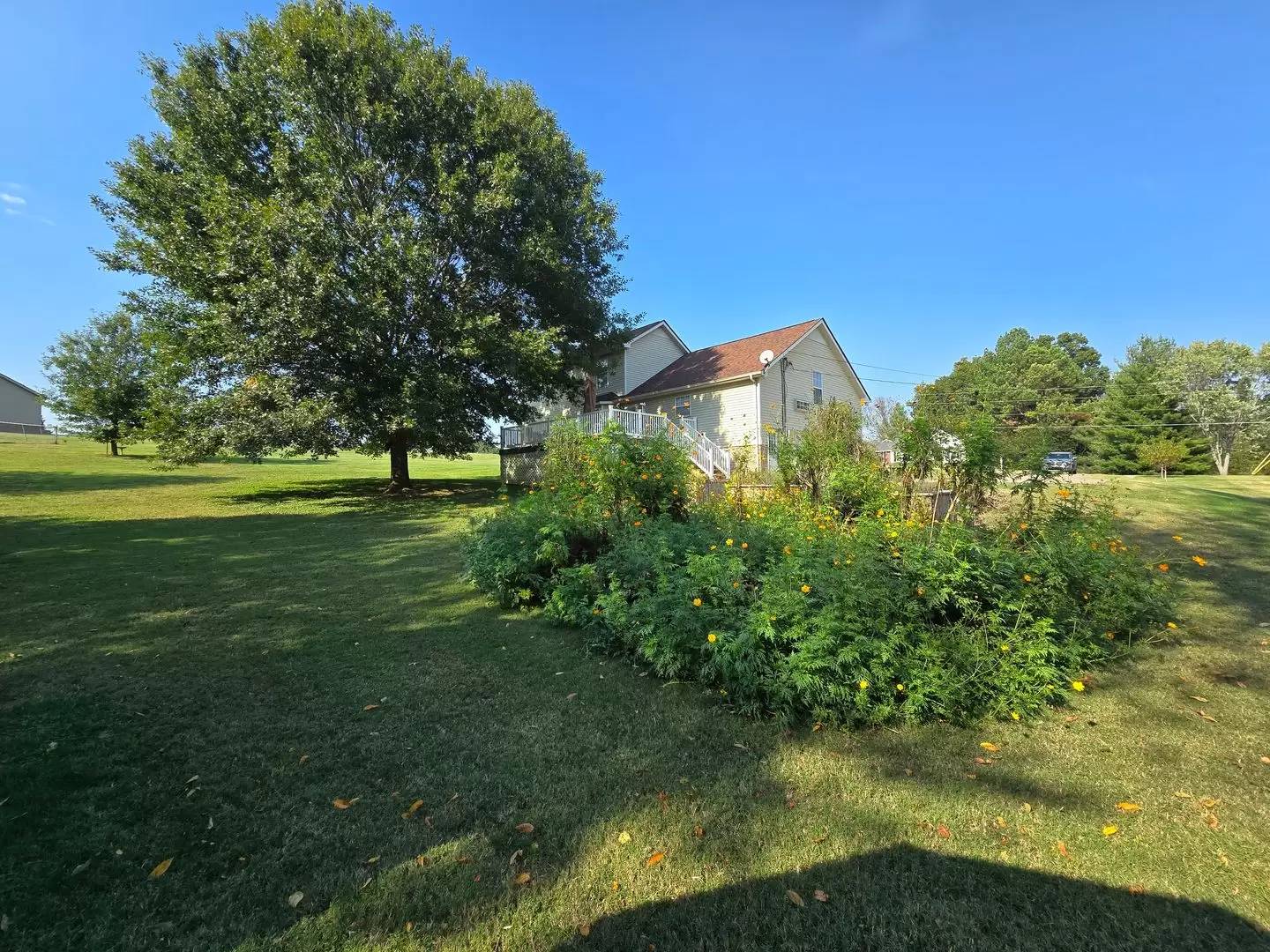 Property Image 66