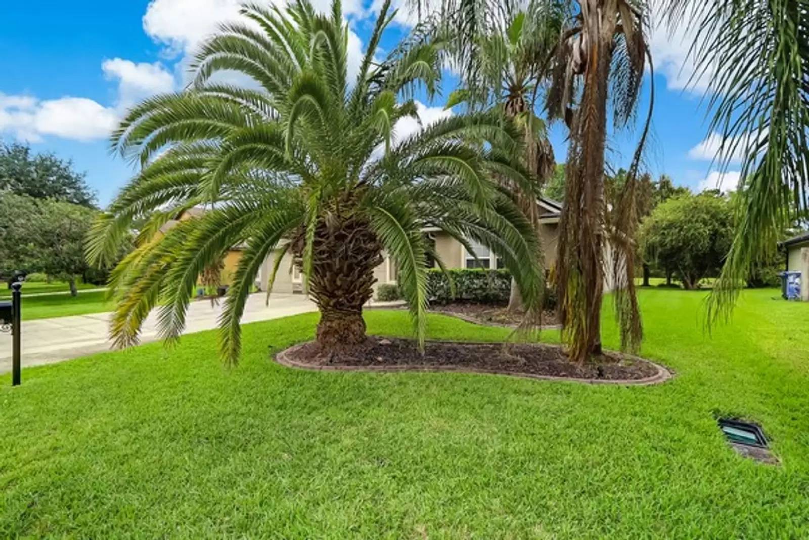 Property Image 55