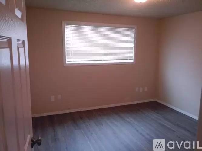cover background