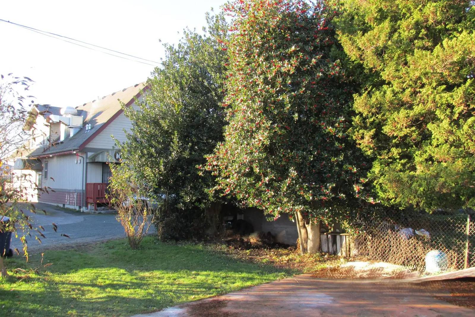 Property Image 15
