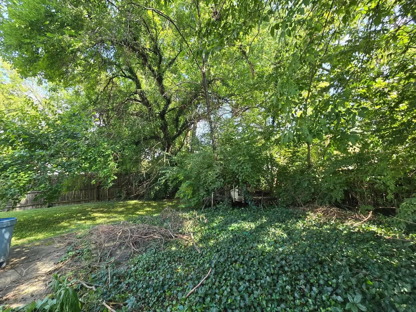 Property Image 64